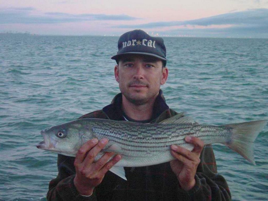 Dumbarton Pier — Fremont Pier Fishing in California