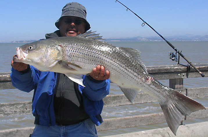 McNears Beach Fishing Pier — San Rafael - Pier Fishing in California