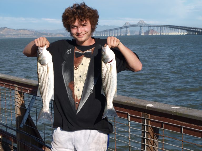 Striped Bass Pier Fishing in California