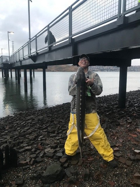 Sturgeon Fishing  McNears Fishing Pier 