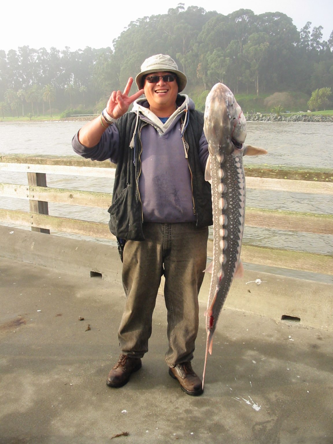 White Sturgeon Pier Fishing in California