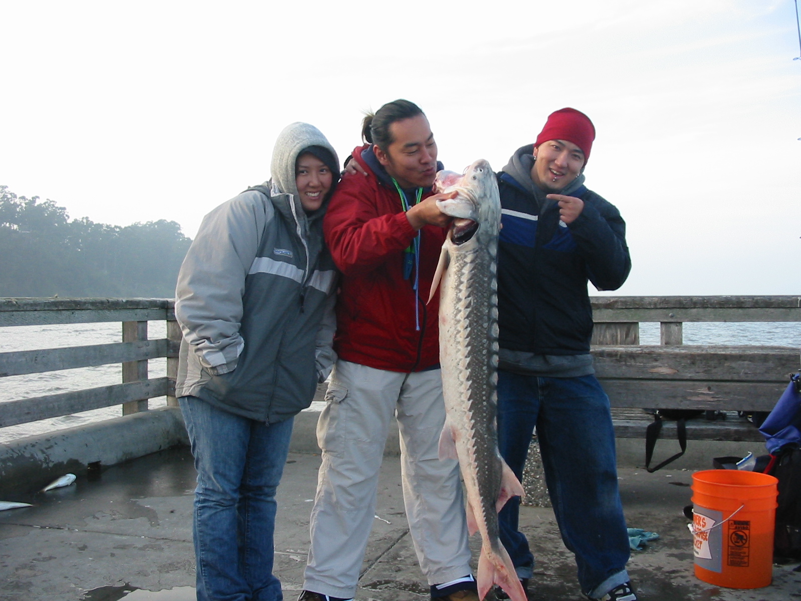 Sturgeon Fishing  McNears Fishing Pier 