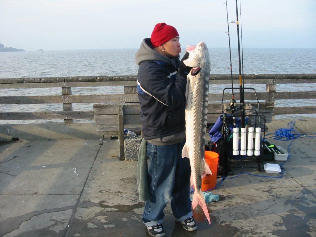 White Sturgeon Pier Fishing in California