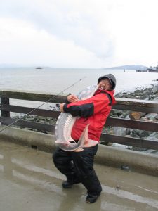 White Sturgeon - Pier Fishing in California