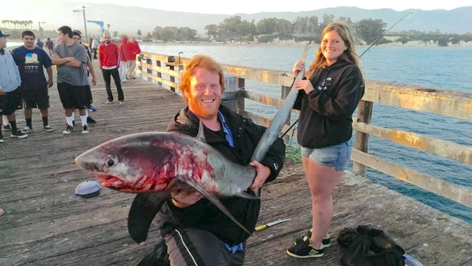 Common Thresher Shark - Pier Fishing in California