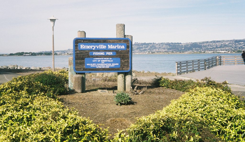 Emeryville Marina Pier Pier Fishing in California