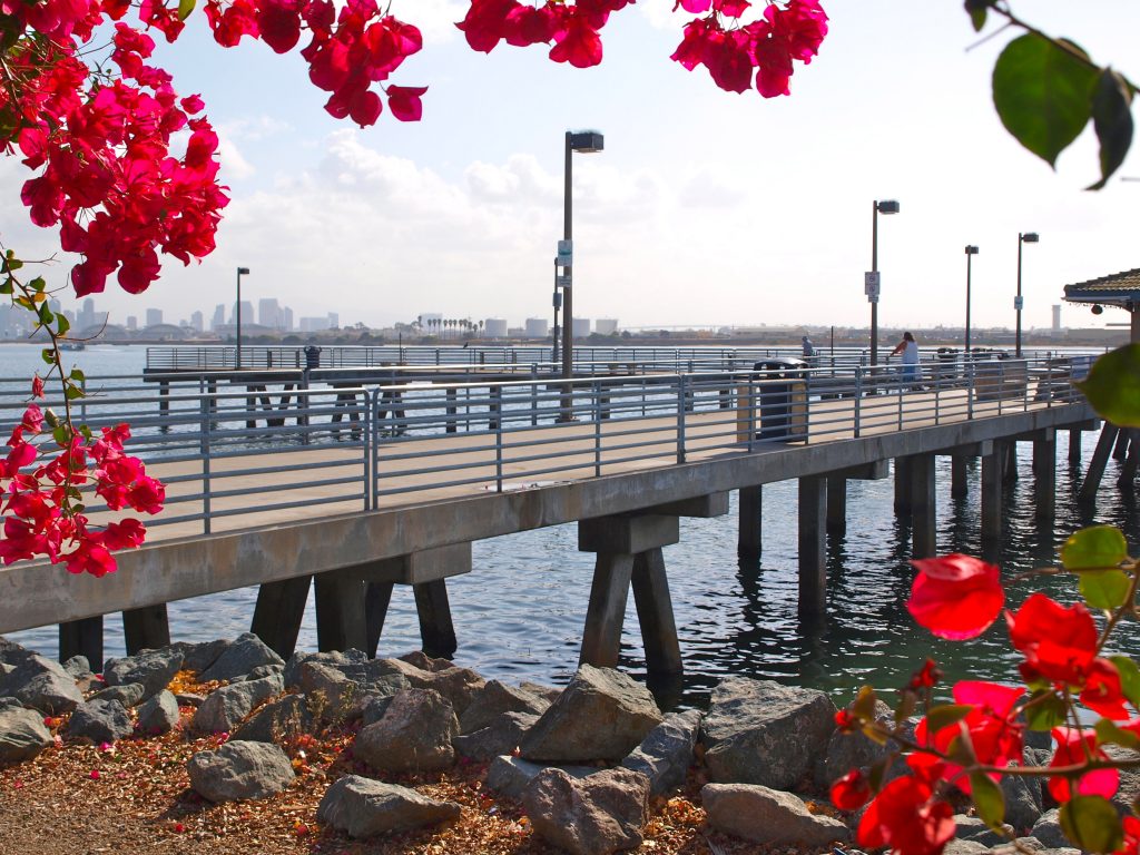 Shelter Island Pier San Diego Pier Fishing In California