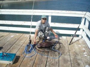 Paradise Cove Pier Malibu Page Of Pier Fishing In California