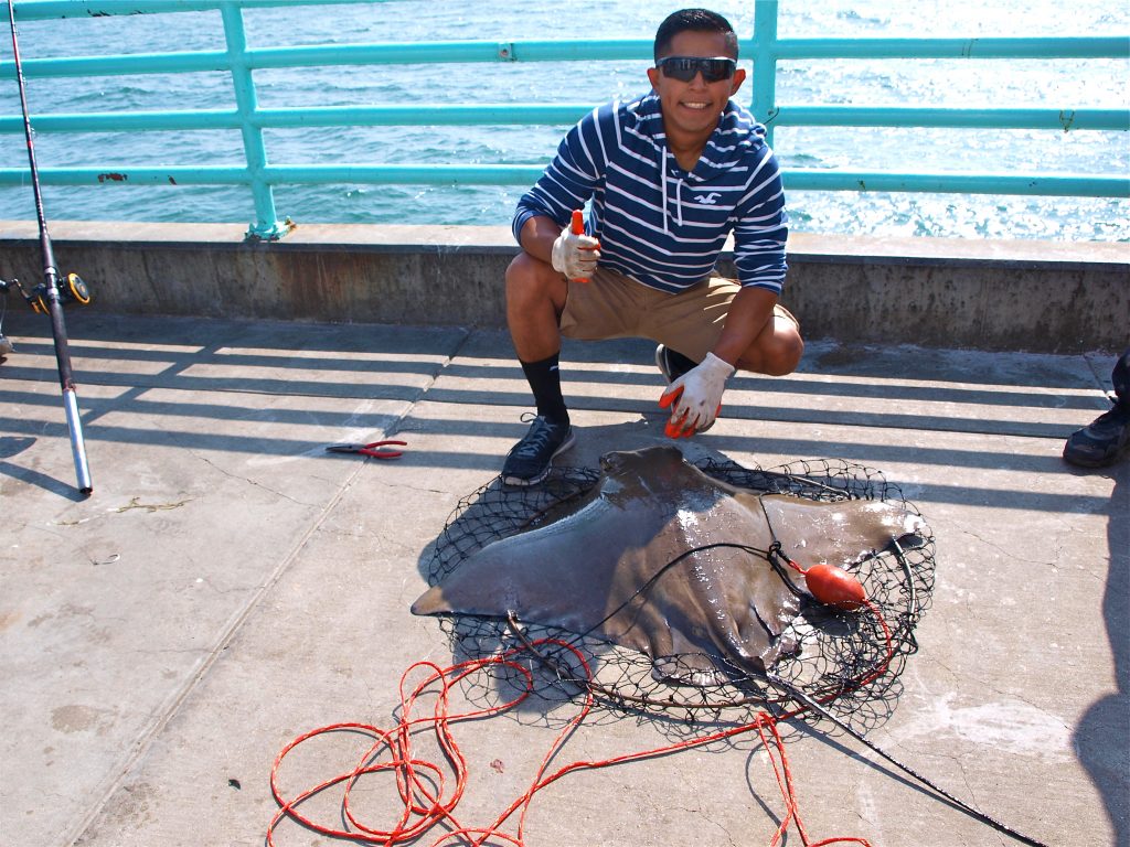 Manhattan Beach Pier Pier Fishing in California