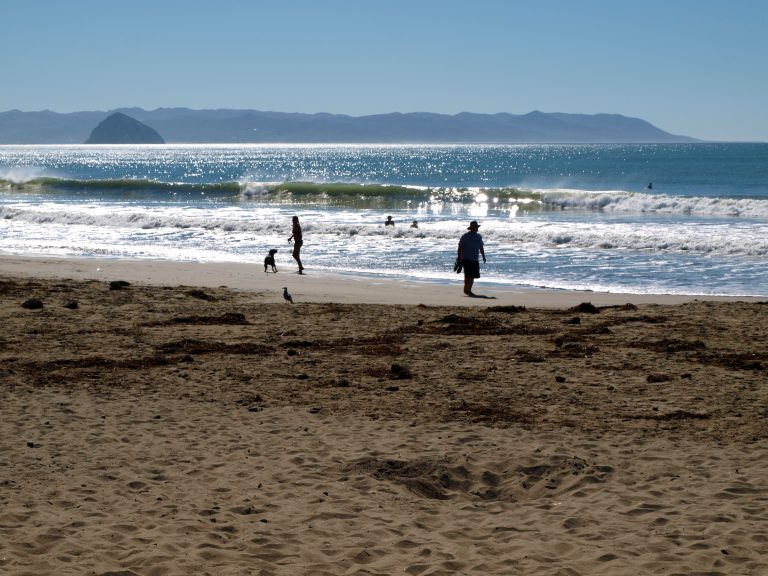 Cayucos Pier Pier Fishing in California