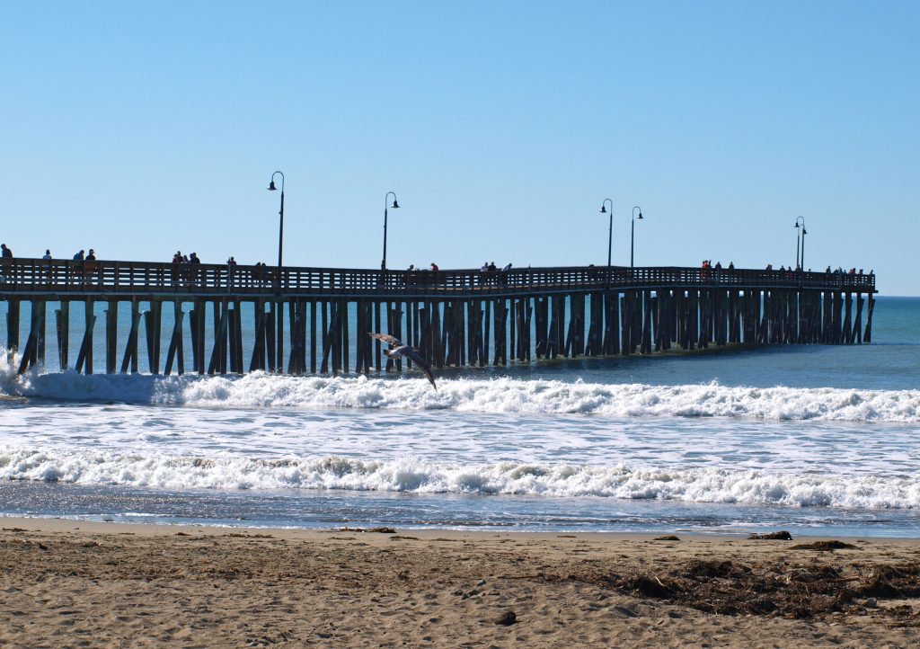 Cayucos Pier Pier Fishing in California