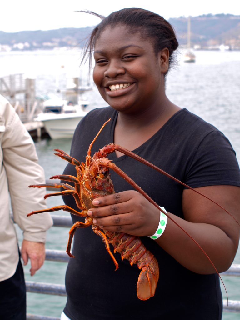 California spiny lobster pier fishing in california