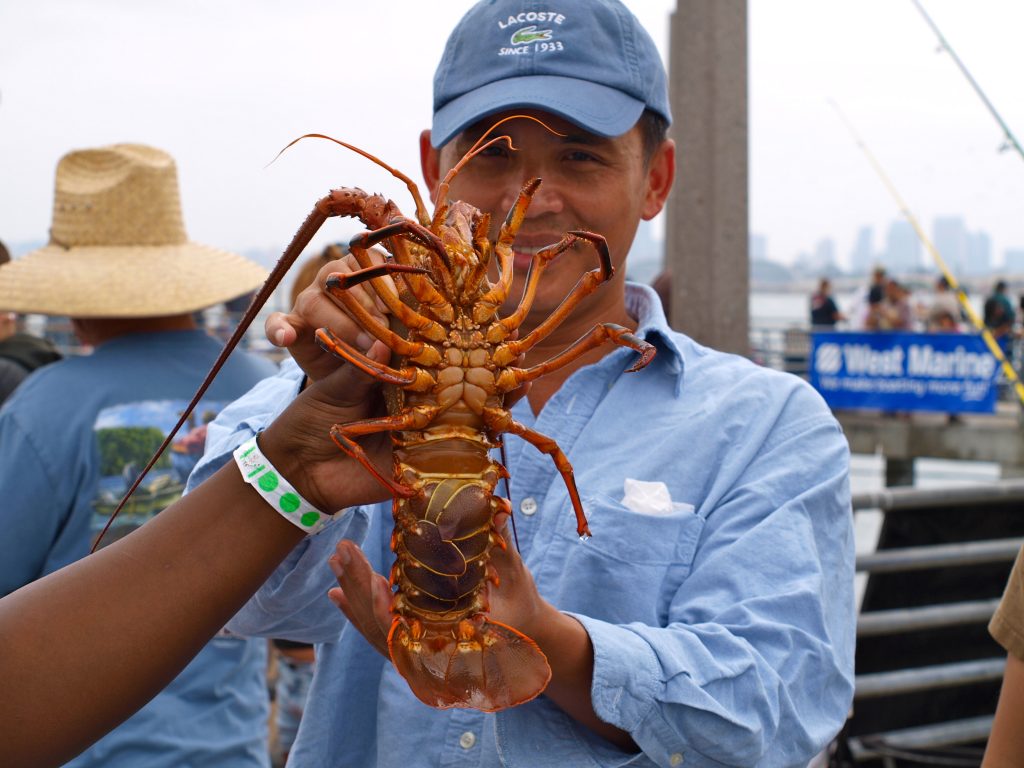 California spiny lobster pier fishing in california