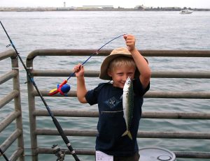 Pline Fishing Line Diameter, by Savannah Hayes, Mar, 2024