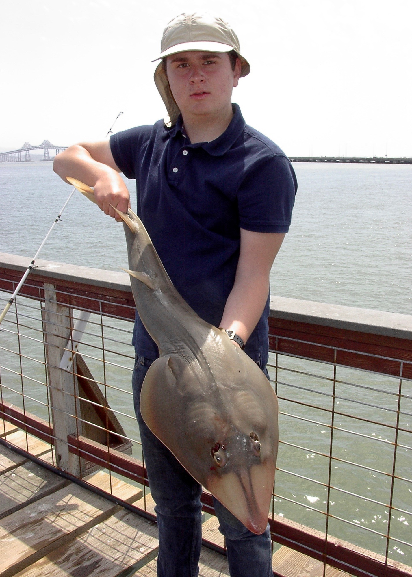 2015_MRG_KD45_Guitarfish_Thomas.O_X-1.jpg