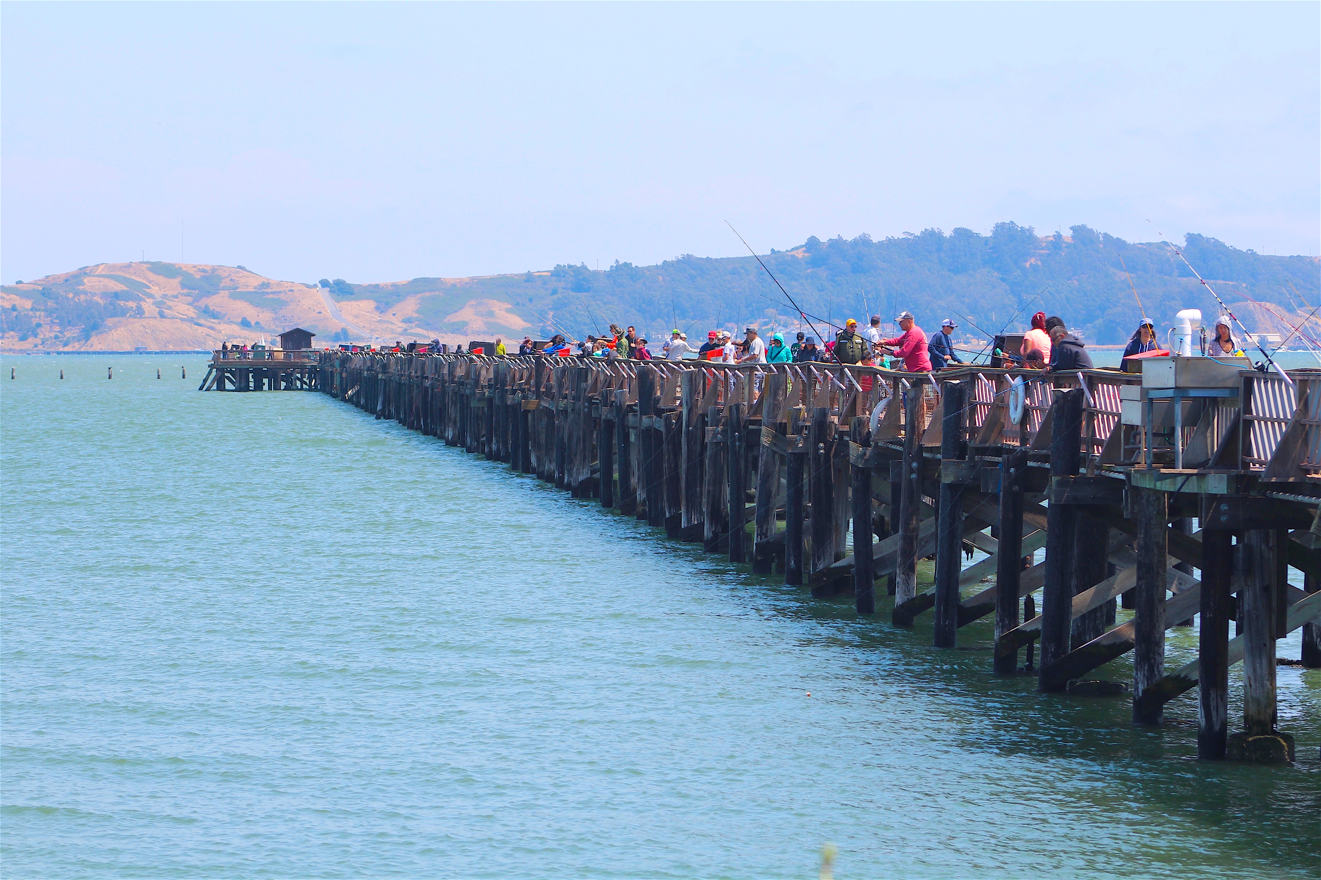 2017_MRG_KD95_Crowded.pier_.jpg