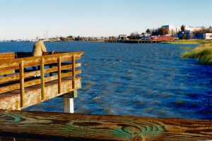 Antioch Marina Pier - Pier Fishing in California