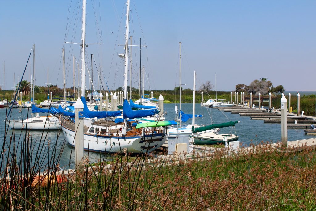 Antioch.Marina_2018_3_Marina Pier Fishing in California
