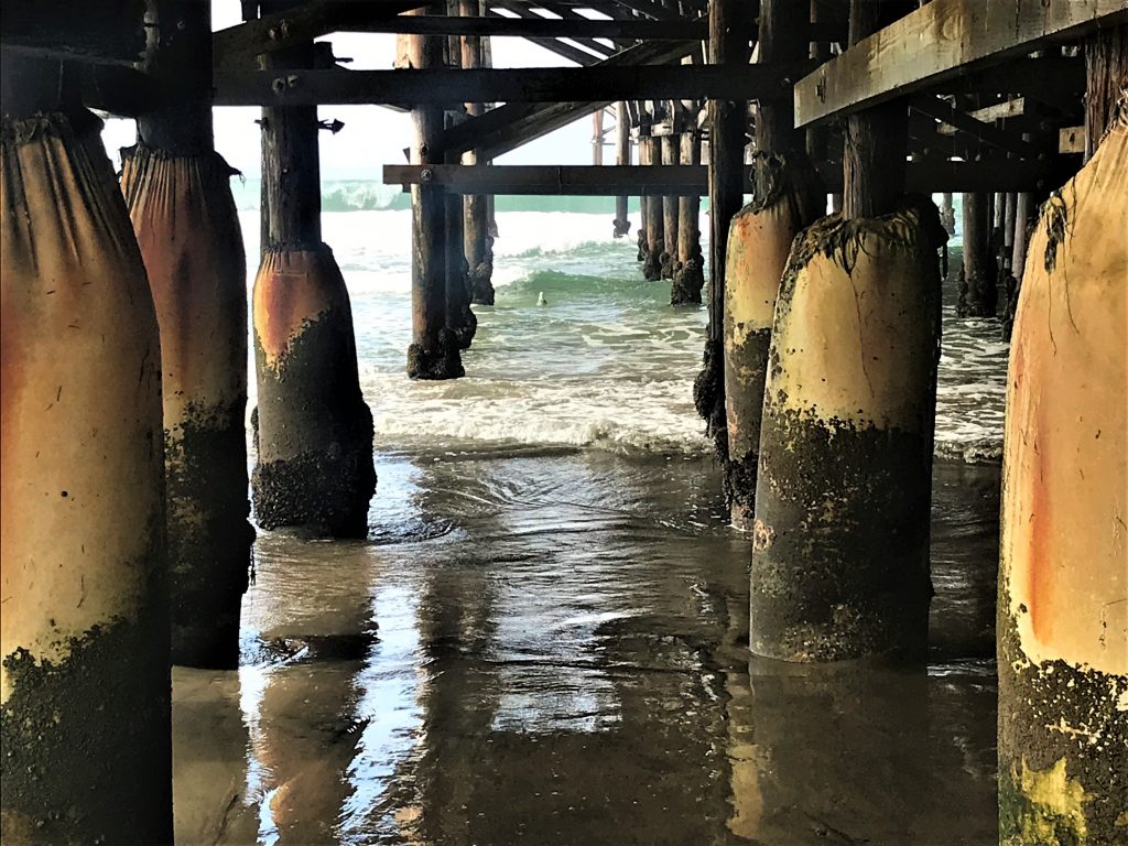 Crystal.Pier_2018_Mike3_Pilings Pier Fishing in California
