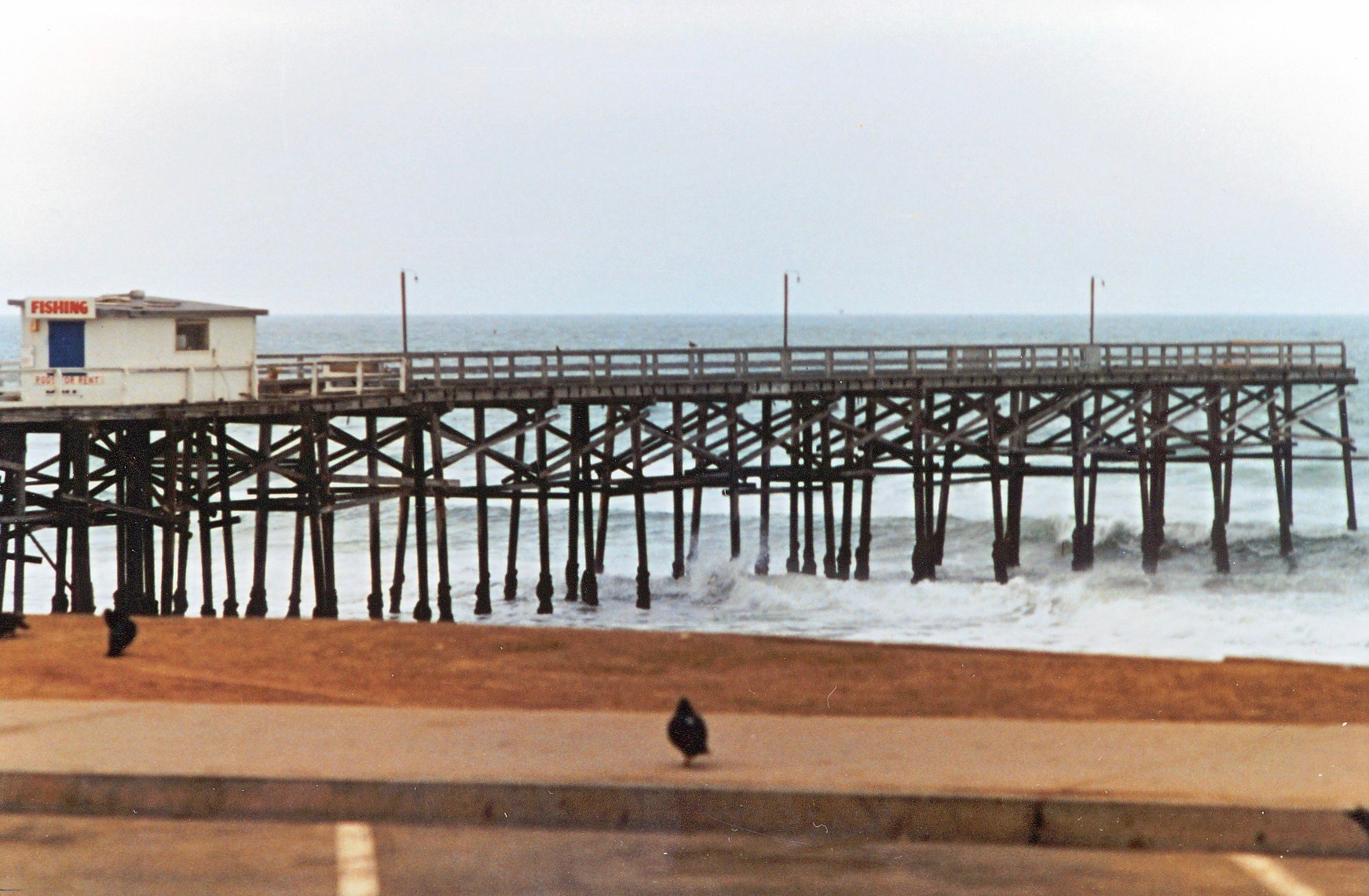 Crystal Pier Bait & Tackle massive rent increase