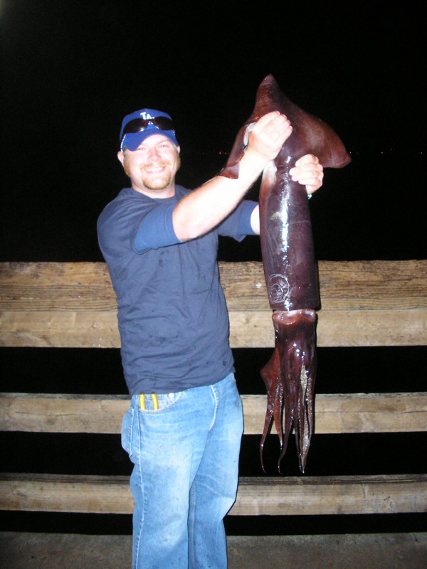 Balboa Pier - Page 7 of 14 - Pier Fishing in California