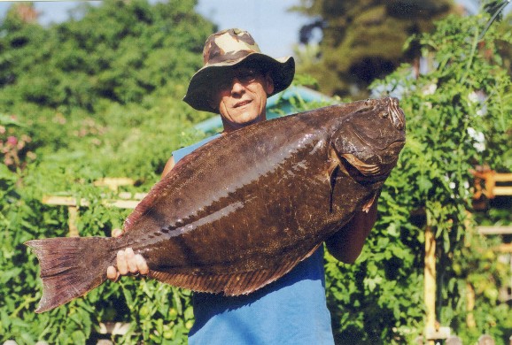 Northern California Halibut Fishing Tips