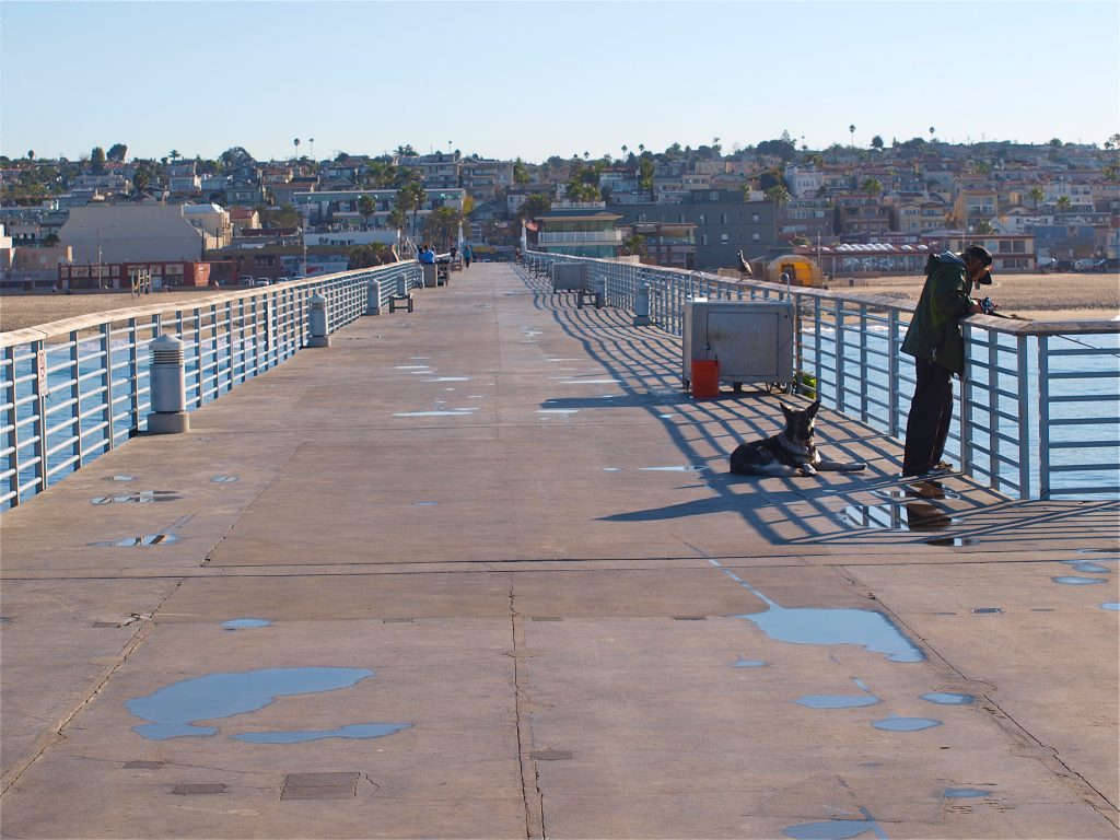 Hermosa Beach Pier Pier Fishing in California