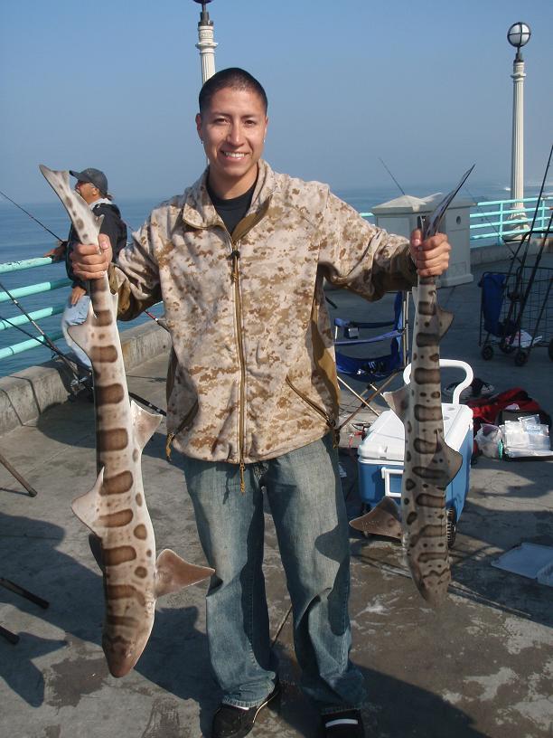 Manhattan Beach Pier - Pier Fishing in California