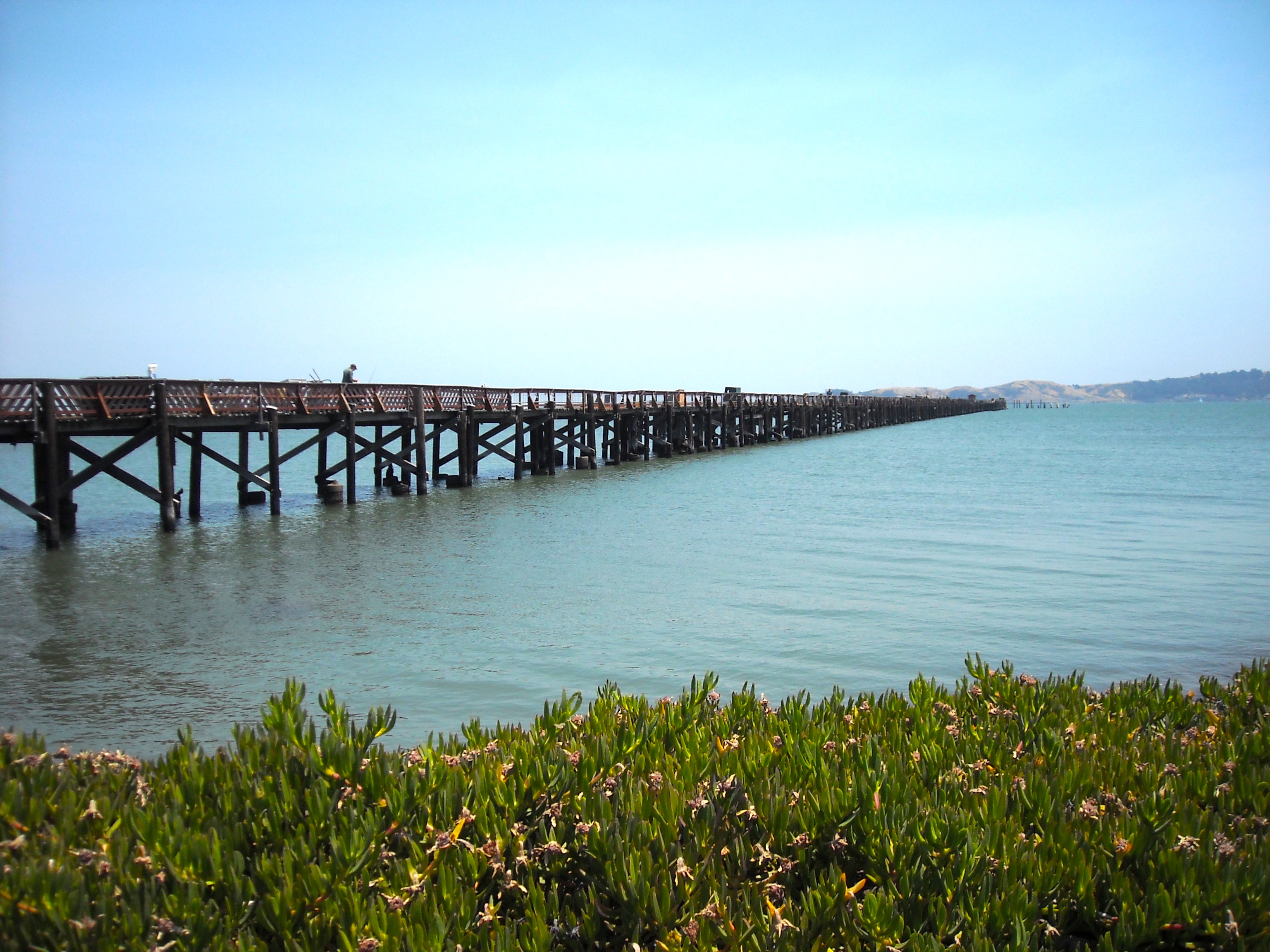 MRG_2008_7_Pier_X.jpg