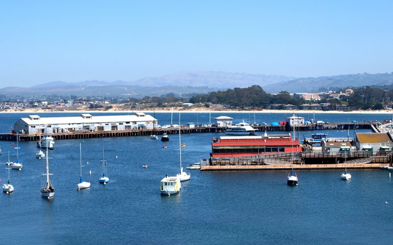 San Francisco Bay Coffee Fish Gum Drops Floating Fish Food