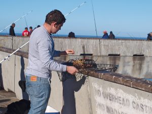 Pacifica Pier - Page 5 of 6 - Pier Fishing in California