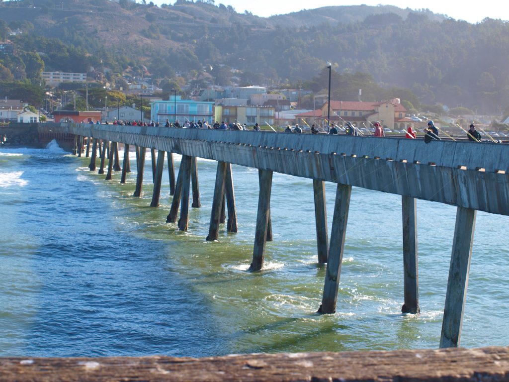 Pacifica Pier Pier Fishing in California