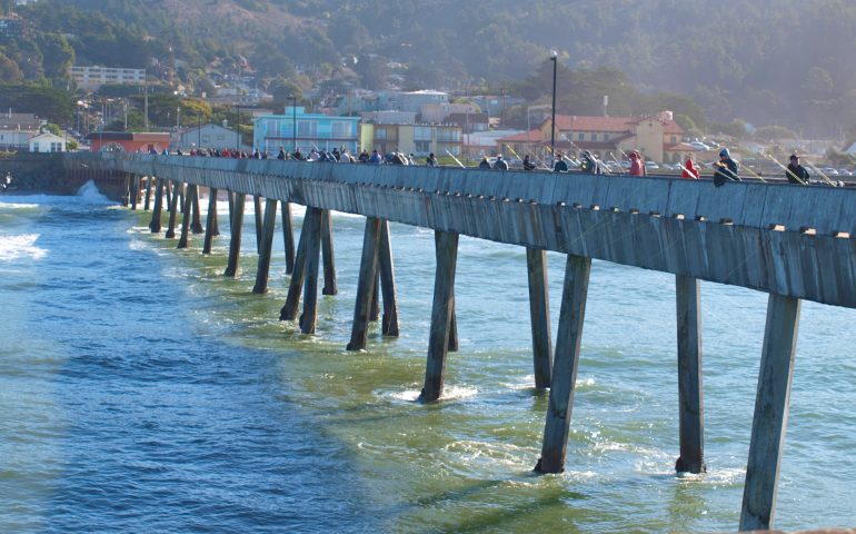 King Salmon - Pier Fishing in California