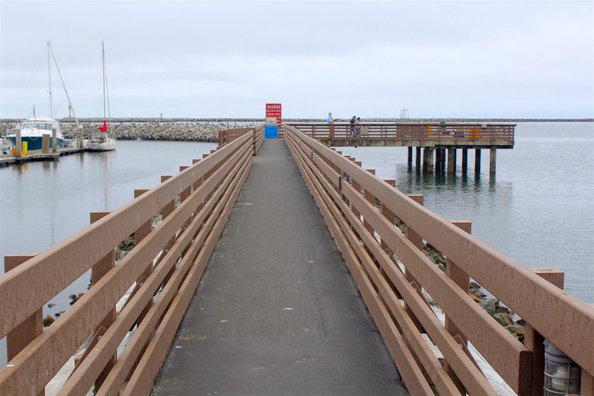 Pillar Point Harbor Pier — Half Moon Bay Pier Fishing in California