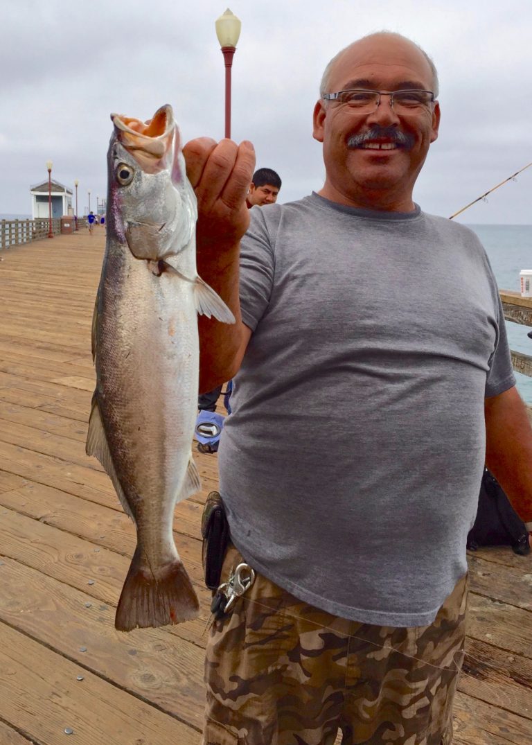 Shortfin Corvina Pier Fishing in California