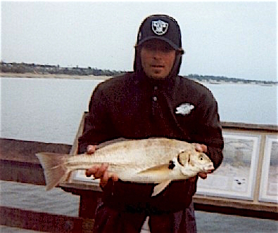 Ventura Pier - Pier Fishing in California