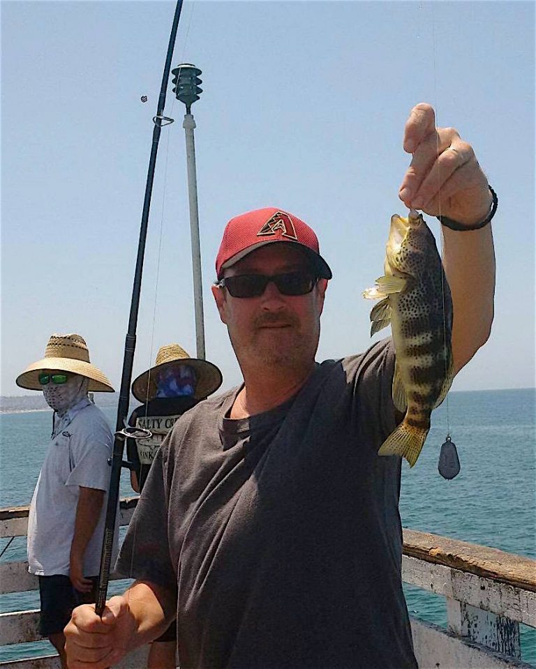 All 34+ Stock Photos crystal pier bait and tackle san diego ca Completed