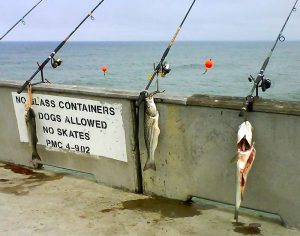 Pacifica Pier - Page 4 of 6 - Pier Fishing in California