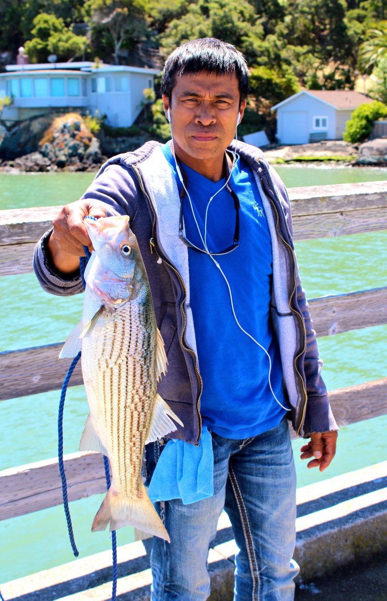 Paradise Beach Pier — Tiburon Pier Fishing in California