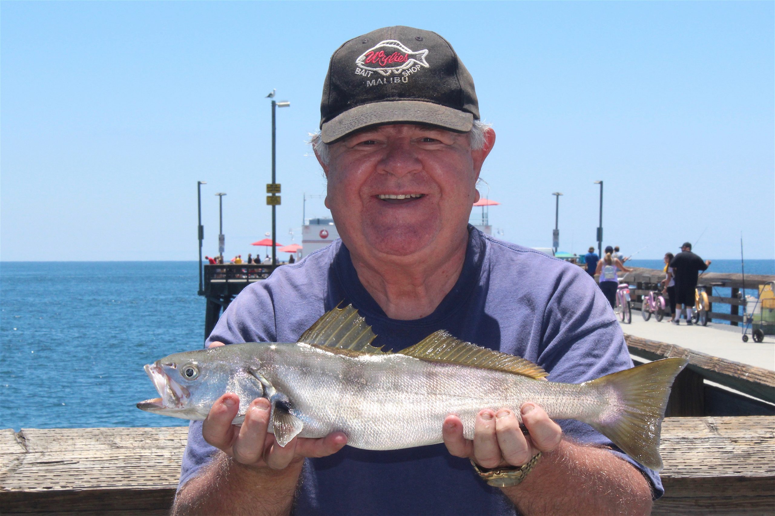 White Seabass - Pier Fishing in California