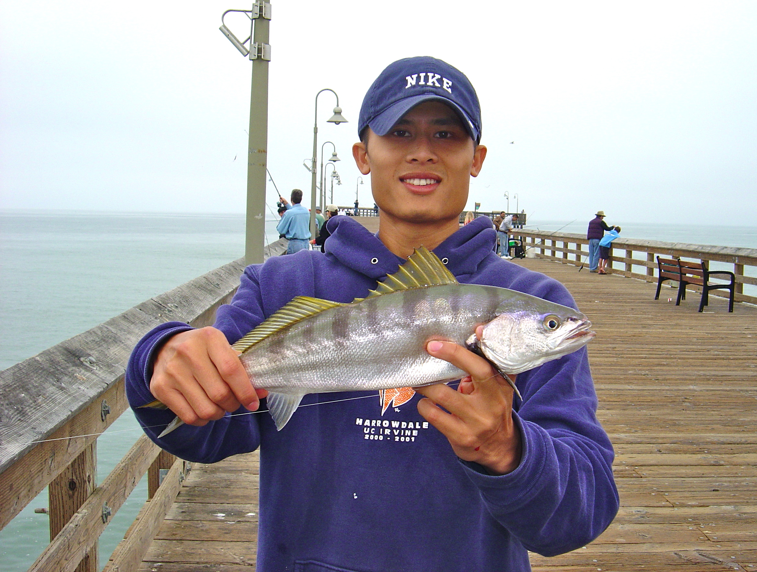 How to Catch White Sea Bass