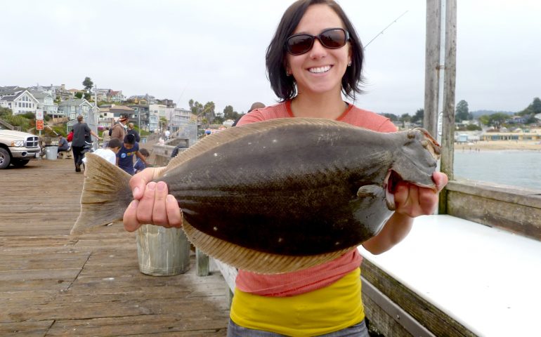 California Halibut - Pier Fishing in California