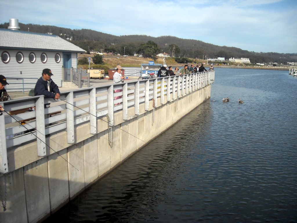Johnson Pier — Pillar Point Harbor — Half Moon Bay Pier Fishing in