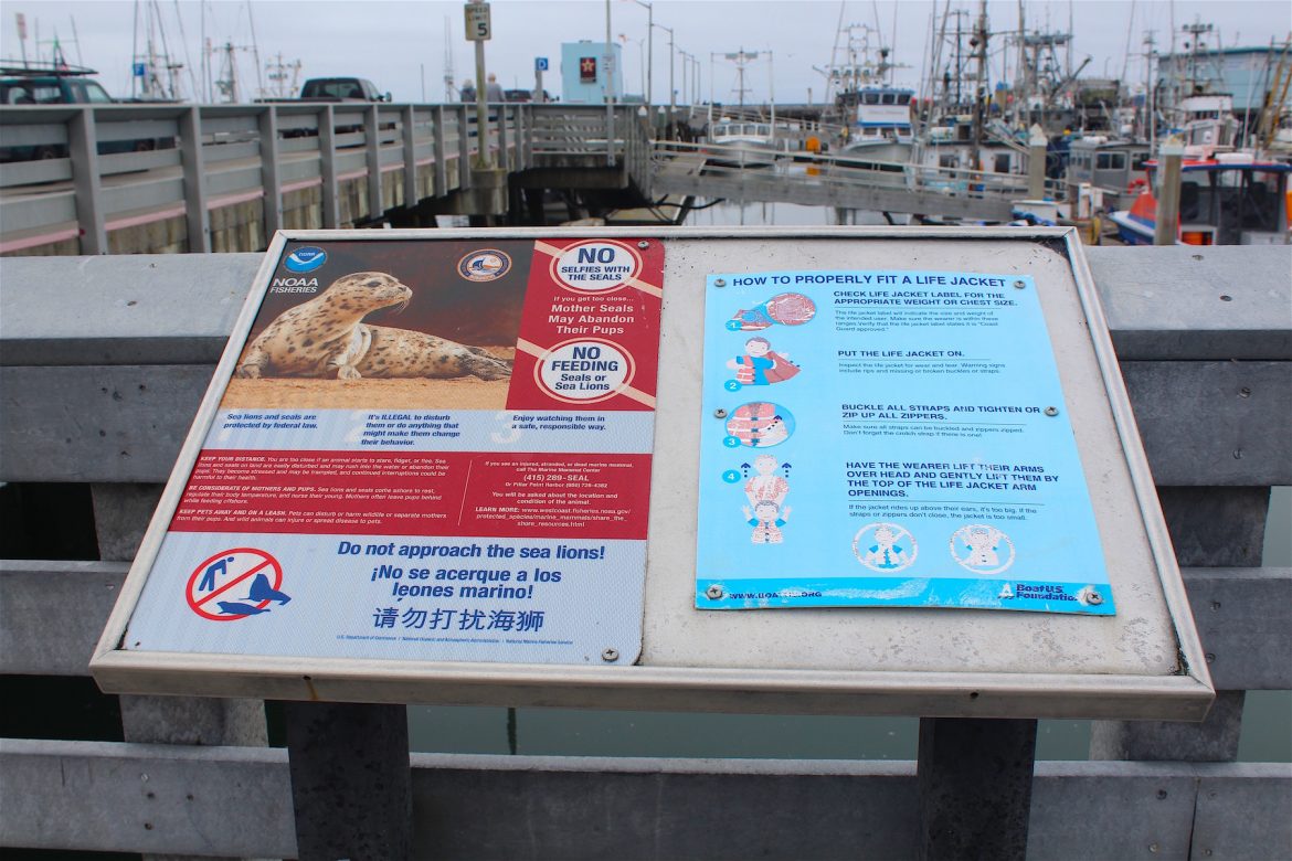 Johnson Pier — Pillar Point Harbor — Half Moon Bay Pier Fishing in