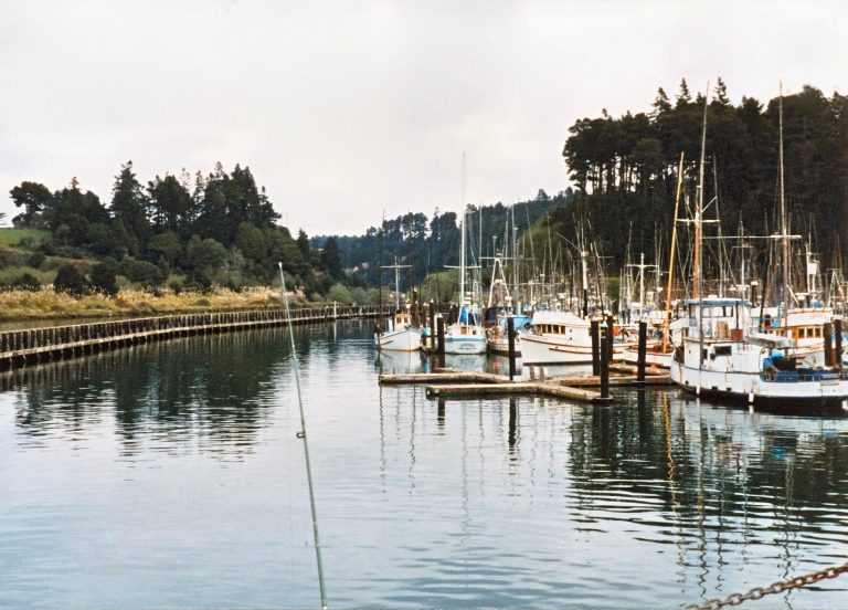 Noyo Harbor Fishing Pier — Fort Bragg Pier Fishing in California