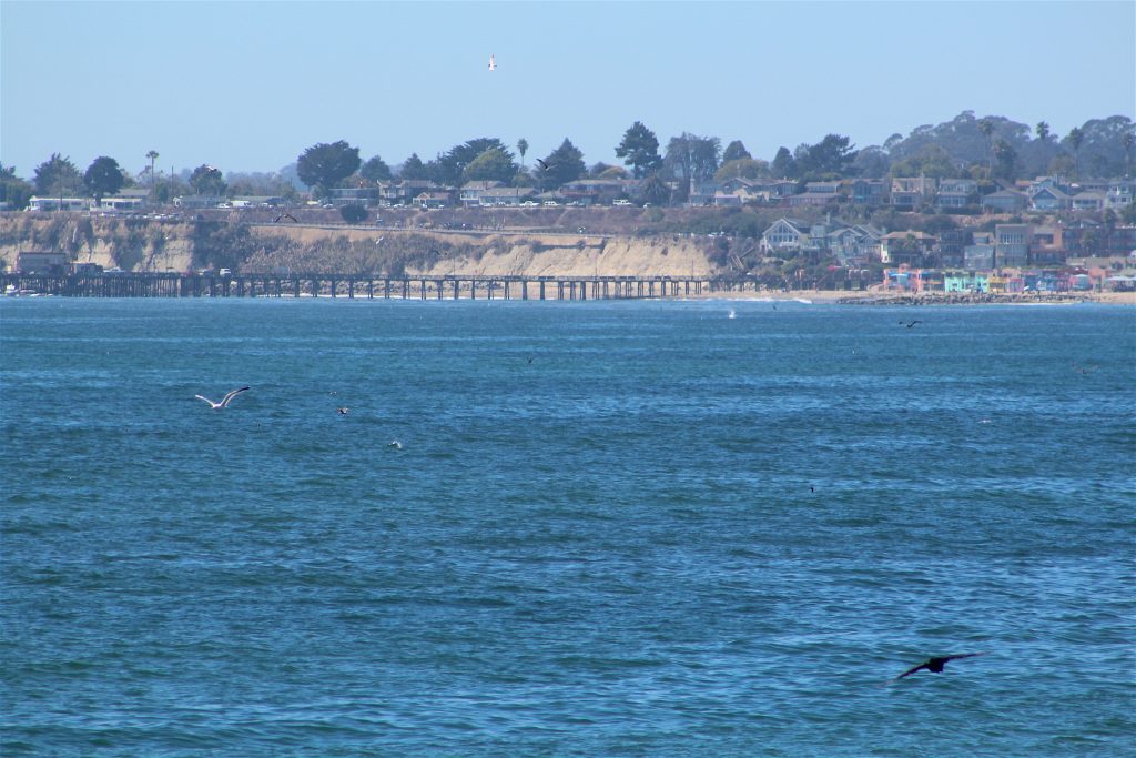 Capitola Wharf Pier Fishing in California