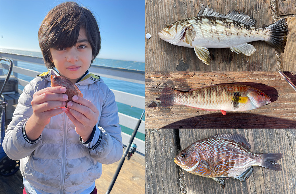 San Clemente Pier - Pier Fishing in California