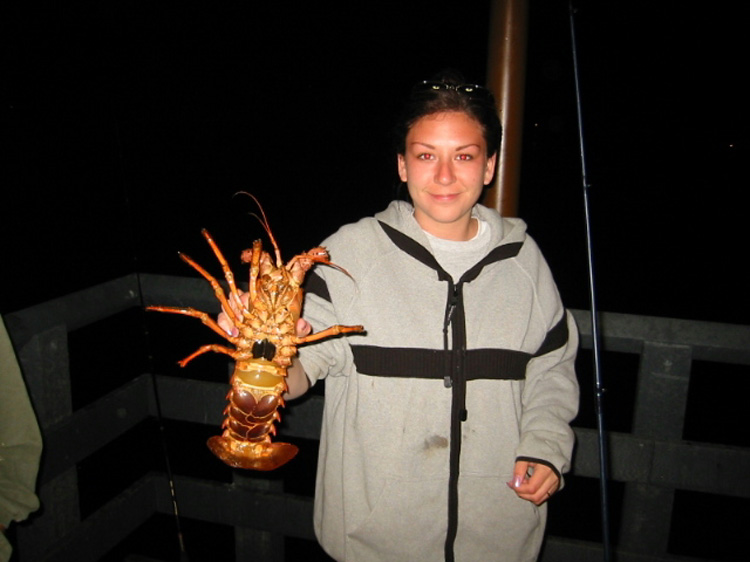 Green Pleasure Pier — Avalon, Catalina Island - Page 3 of 7 - Pier Fishing  in California