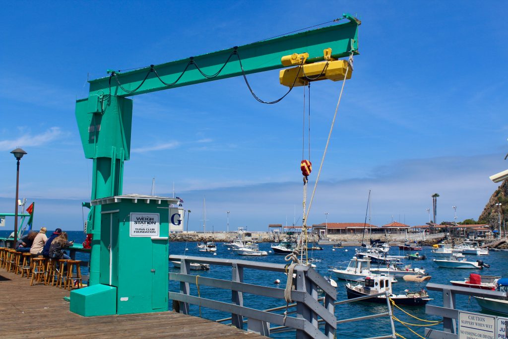 Cat_2017.6_GPP57_Weigh.Station Pier Fishing in California