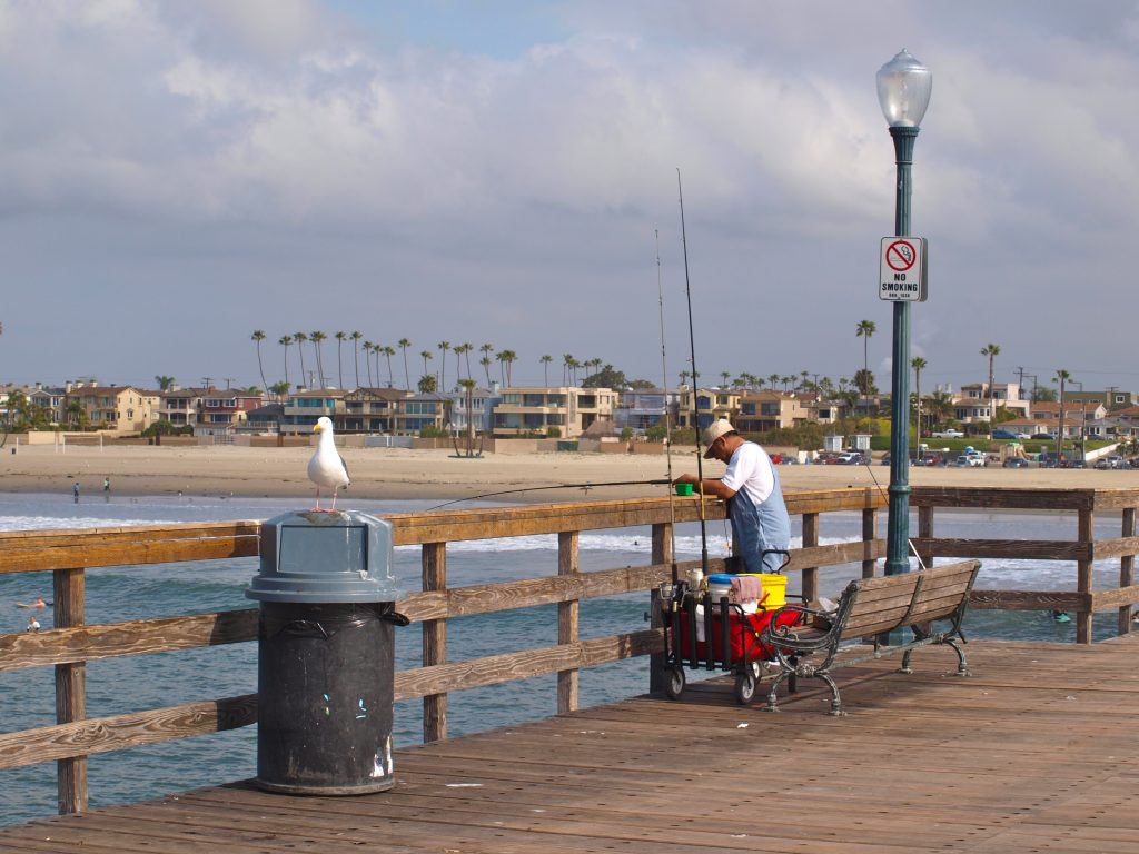 Seal Beach Pier Pier Fishing in California